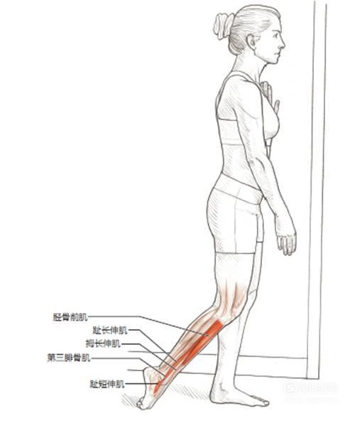 如何利用篮球背景改善投篮命中率_2
